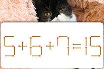 【マッチ棒パズル】頭がスッキリ！「5＋6＋7＝15」1本だけマッチ棒を動かして正しい式にできますか？【毎日脳トレ】