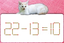 マッチ棒クイズに挑戦だ！「22-13=10」制限時間は30秒！【毎日脳トレ】【クイズ】