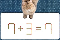 【マッチ棒パズル】きみは解けるかな？「7＋3＝7」マッチ棒1本動かして式を完成させよう！【毎日脳トレ】