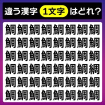 【間違い探し】違う文字はどれかな？5秒以内に探してみよう！【毎日脳トレ】