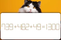【マッチ棒パズル】1本だけ動かして！「739＋482＋49＝1300」正しい式にできるかな？【毎日脳トレ】