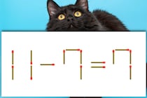 制限時間は10秒！「11-7=7」マッチ棒クイズで脳トレ！【毎日脳トレ】【クイズ】