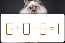 【マッチ棒パズル】正しい式にしよう！「6＋0－6＝1」【毎日脳トレ】