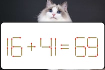 【マッチ棒パズル】マッチ1本で解決！「16＋41＝69」を正しくできる？【毎日脳トレ】