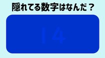 【毎日脳トレ】色覚クイズに挑戦！絵の中に隠れている数字はなに？