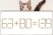 【マッチ棒パズル】1本だけ移動させて正しい式にできる？「63＋80＝139」【毎日脳トレ】