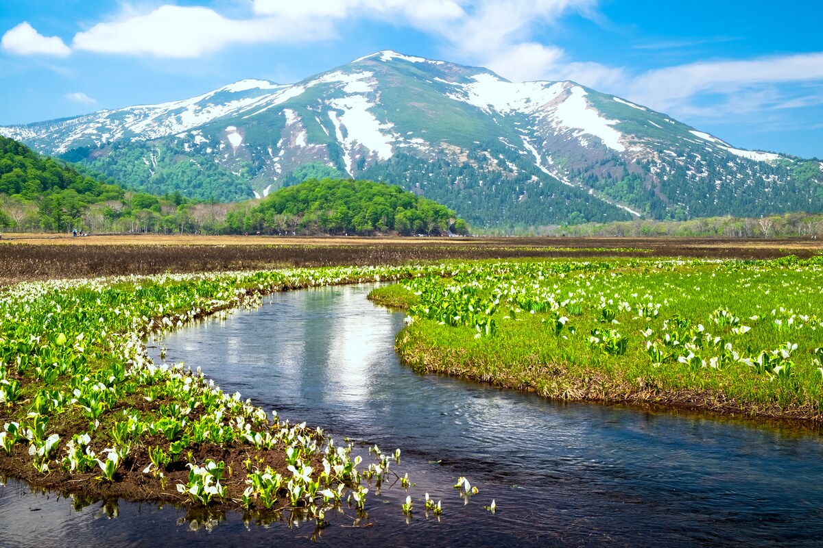 【クイズ】日本全国に34か所しかない「公園」とは何でしょう?│この日生まれた有名人もチェック!