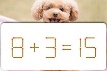 マッチ棒1本、どれを動かしますか？「8＋3＝15」制限時間5秒！【毎日脳トレ】【クイズ】