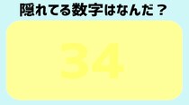 【毎日脳トレ】色覚クイズに挑戦！絵の中に隠れている数字は何？