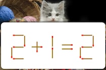 10秒チャレンジ！「2＋1＝2」マッチ1本で正しい式に直しましょう【毎日脳トレ】【クイズ】