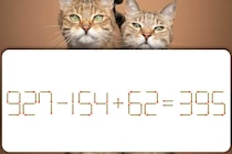 【マッチ棒パズル】難問に挑戦！「927－154＋62＝395」【毎日脳トレ】