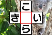 5秒で完成させて！「こ○ら」「き○い」○に入る文字は何？【毎日脳トレ】【クイズ】