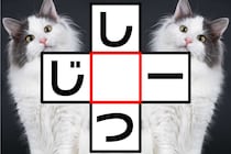 どんどん文字を入れてみよう♪クロスワードで脳トレ～！【毎日脳トレ】【クイズ】