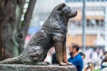 【4月8日は忠犬ハチ公の日】渋谷のハチ公像は2代目。初代はどこに行ったのでしょうか？