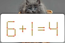 どう動かす？マッチを1本動かして「6＋1＝4」を正しくしましょう【毎日脳トレ】【クイズ】
