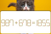 【マッチ棒パズル】難問！「987＋678＝1855」を正しい式に直してみましょう【毎日脳トレ】