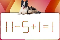 マッチ棒クイズで脳トレ！「11-5+1=1」これ正しい式にできる？【毎日脳トレ】【クイズ】