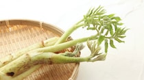 春が旬！「野菜なのに2mもあるの!?」これな〜んだ？【毎日脳トレ】【クイズ】