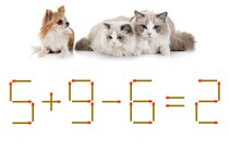 マッチ棒クイズに挑戦！「5+9-6=2」何秒で解けるかな？【毎日脳トレ】【クイズ】