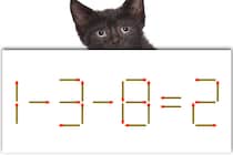 【マッチ棒パズル】1本だけ動かそう！「1－3－8＝2」【毎日脳トレ】