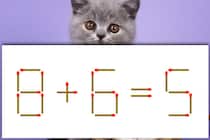【マッチ棒パズル】正しい式に直しましょう「8＋6＝5」20秒で1本だけ動かして【毎日脳トレ】