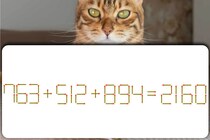 【マッチ棒パズル】マッチ棒1本だけ動かして「763＋512＋894＝2160」を正しい式にするには？【毎日脳トレ】