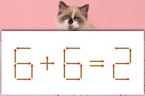 【マッチ棒パズル】本当に足し算？「6＋6＝2」5秒で解いてみて【毎日脳トレ】