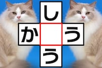 「し○う」「か○う」クロスワードで脳トレに挑戦♪【毎日脳トレ】【クイズ】