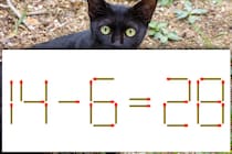 【マッチ棒パズル】あなたは何秒で解ける？「14－6=28」【毎日脳トレ】