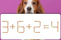 マッチ棒クイズ上級編！「3+6+2=4」正しい式にしてみよう！【毎日脳トレ】【クイズ】