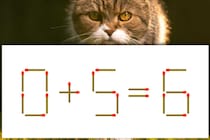 【マッチ棒パズル】シンプルだけど難しい！「0＋5=6」どこを動かす？【毎日脳トレ】