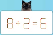 マッチ棒クイズ！「8＋2＝6」動かしていいのは1本のみ【毎日脳トレ】