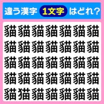 違う文字ど～こだ！漢字間違い探しで脳トレ！【毎日脳トレ】【クイズ】