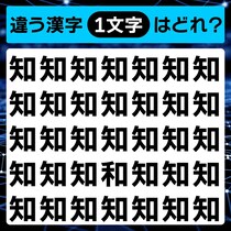よ～く見てみて♪1文字違う漢字間違い探し！制限時間20秒♪【毎日脳トレ】
