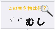 【毎日脳トレ】とんちで挑もう！この生き物は何？