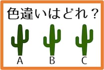 【毎日脳トレ】色違いがどれか分かるかな？（制限時間10秒）
