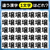 【間違い探し】ちょこっとスキマ時間に「壌」と違う字を5秒で見つけて【毎日脳トレ】