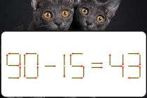 【マッチ棒パズル】意外と分からない!?「90-15=43」すばやく解けたらすごい！【毎日脳トレ】