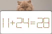 【マッチ棒パズル】何秒で解けるか挑戦！「11＋24=28」【毎日脳トレ】