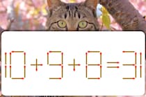 マッチ棒1本しか動かせない！「10＋9＋8＝31」を直せる？【毎日脳トレ】【クイズ】