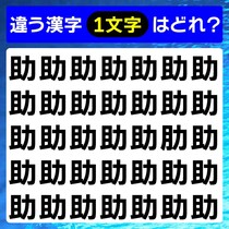 集中して探そう！漢字間違い探しで脳トレに挑戦【毎日脳トレ】【クイズ】
