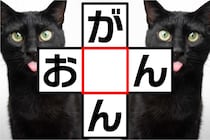 クロスワードで脳トレに挑戦♪空欄に入る文字はな～んだ？【毎日脳トレ】【クイズ】