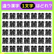 漢字間違い探し！何秒で見つかられるかな？【毎日脳トレ】【クイズ】