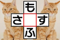 クロスワードに挑戦「も○ふ」「さ○す」共通する文字は？【毎日脳トレ】【クイズ】