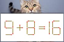 【マッチ棒パズル】どの1本を動かせば正解？「9＋8＝16」制限時間は3秒【毎日脳トレ】
