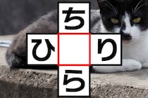 クロスワードクイズ！「ち○ら」「ひ○り」共通する文字はなに？【毎日脳トレ】【クイズ】