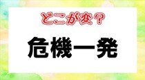 【毎日脳トレ】「危機一発」間違っている漢字はどれ？