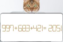 【マッチ棒パズル】スキマ時間に「997＋683＋421＝2051」マッチ棒1本動かして正しくしましょう【毎日脳トレ】