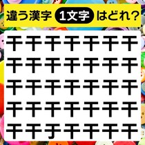 違う文字を見つけられるかな？漢字間違い探しに挑戦【毎日脳トレ】【クイズ】