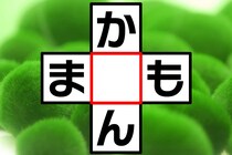 一目でわかったら博士！「か○ん」「ま○も」ひらがなクロスワード♪【毎日脳トレ】【クイズ】